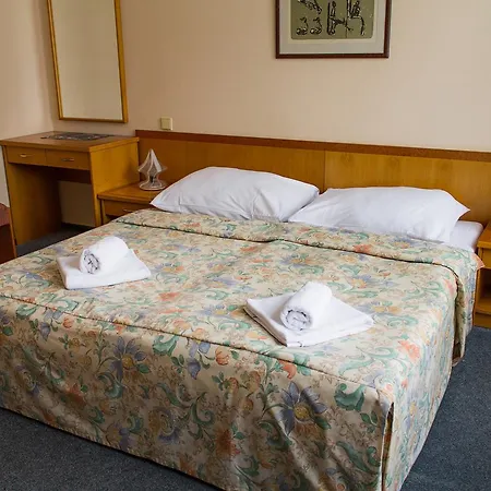 Отель Dalimil 3*