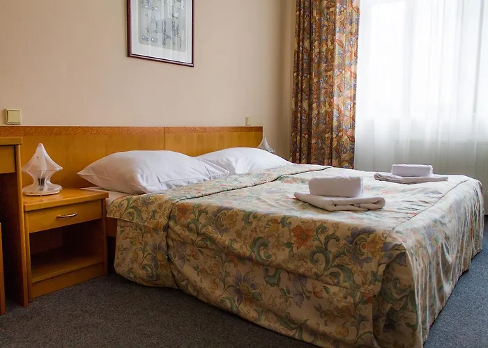 Otel Dalimil